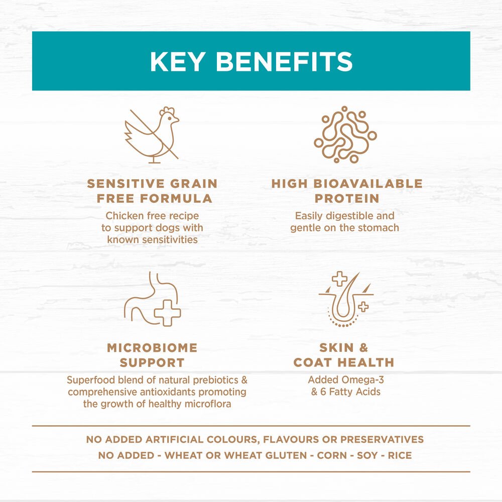 Salmon & Ocean Fish Grain Free Adult Dry Dog Food