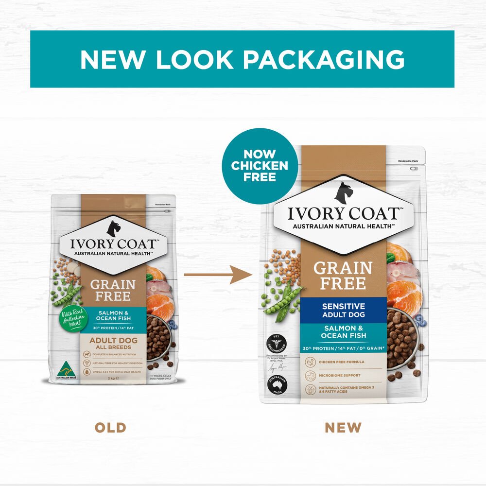 Salmon & Ocean Fish Grain Free Adult Dry Dog Food