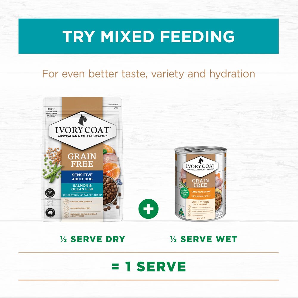 Salmon & Ocean Fish Grain Free Adult Dry Dog Food