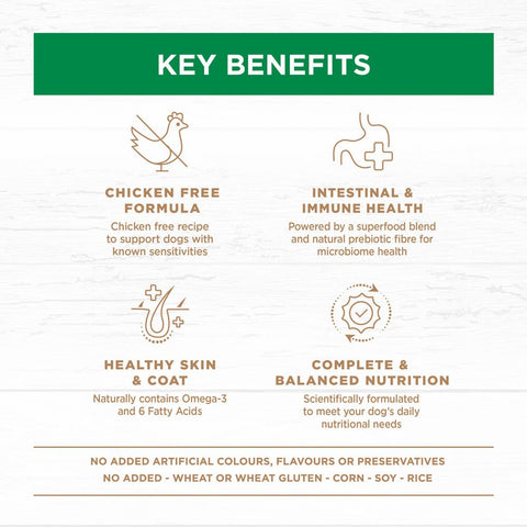 Lamb Large Breed Grain Free Adult Dry Dog Food