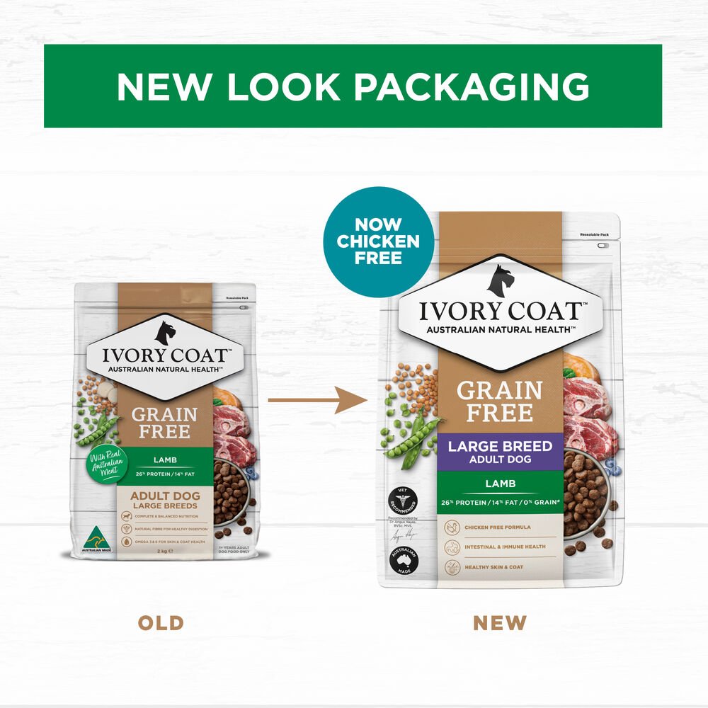 Lamb Large Breed Grain Free Adult Dry Dog Food