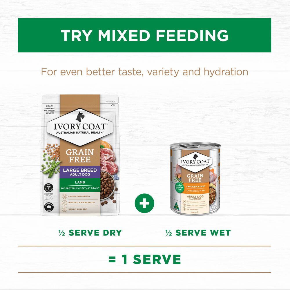 Lamb Large Breed Grain Free Adult Dry Dog Food