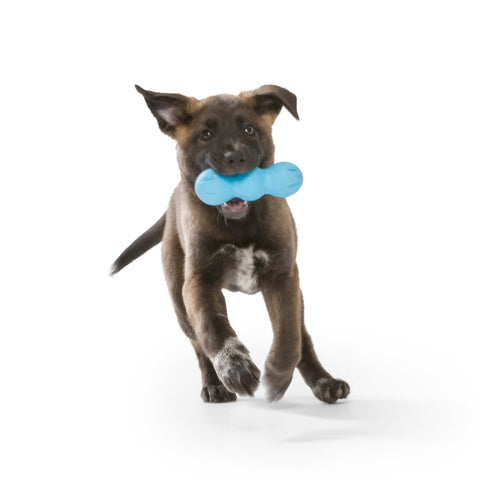 West Paw Rumpus Tough Fetch Stick Dog Toys