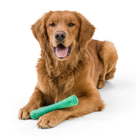 West Paw Seaflex Recycled Plastic Fetch Dog Toys - Drifty