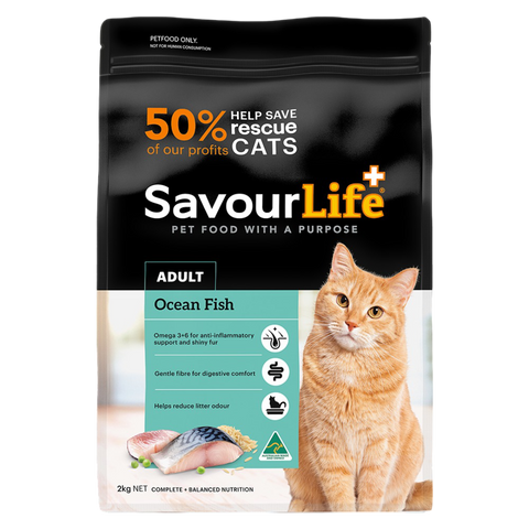 Ocean Fish Adult Dry Cat Food