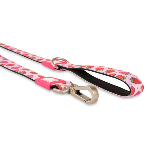 Max & Molly Dog Leash