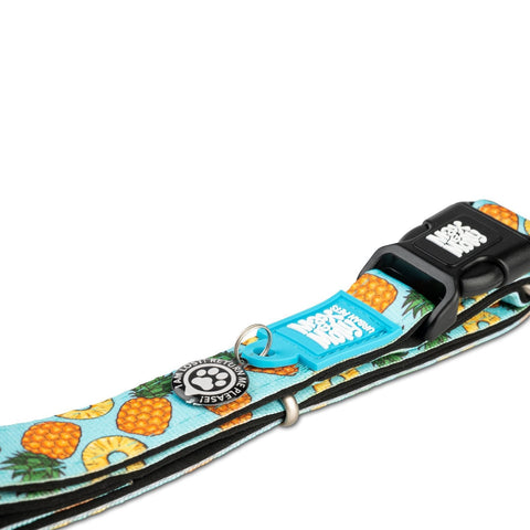 Max & Molly Smart ID Dog Collar