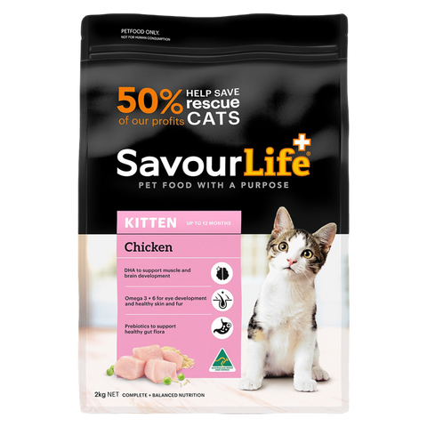 Chicken Kitten Dry Cat Food
