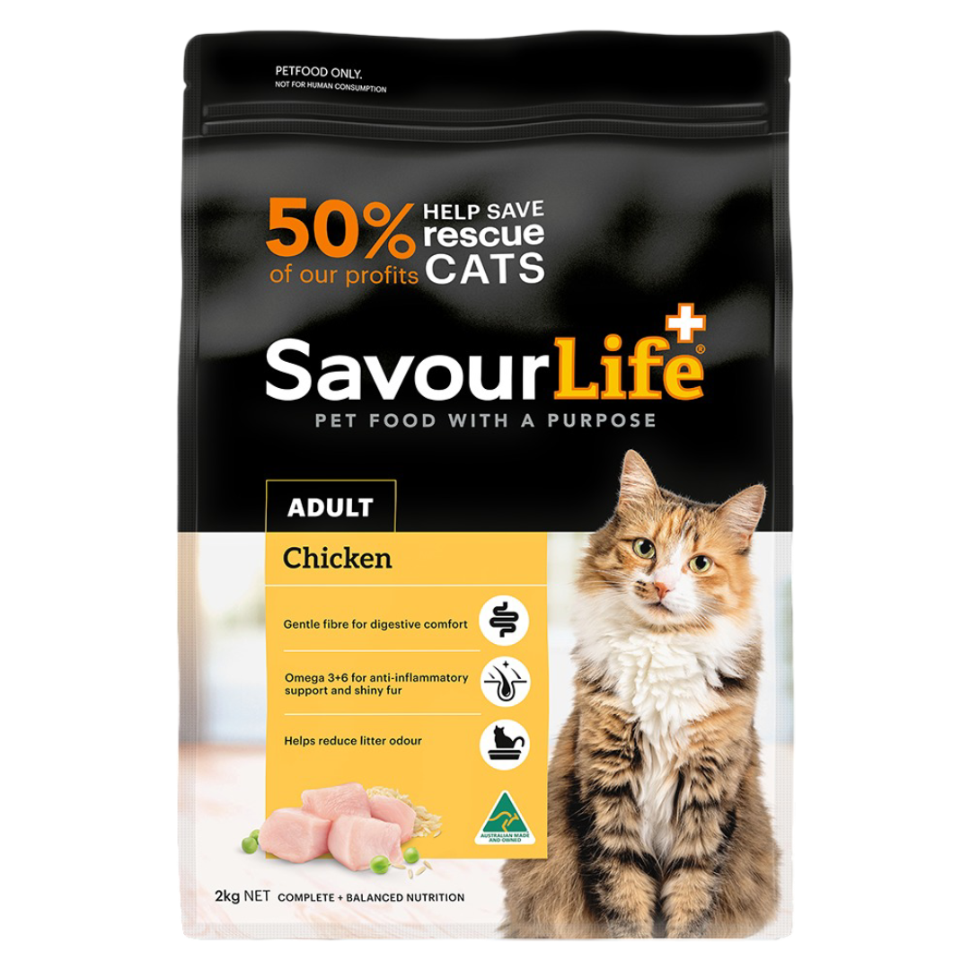 Chicken Adult Dry Cat Food