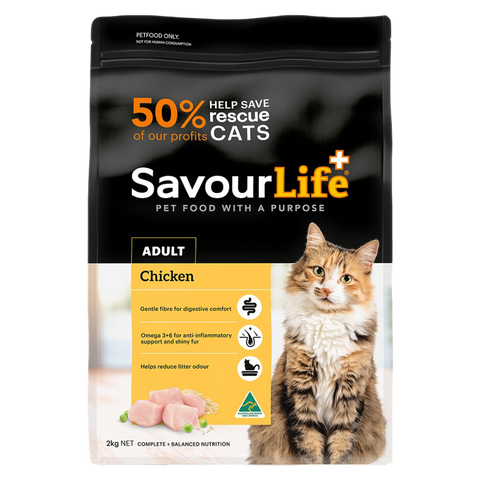 Chicken Adult Dry Cat Food