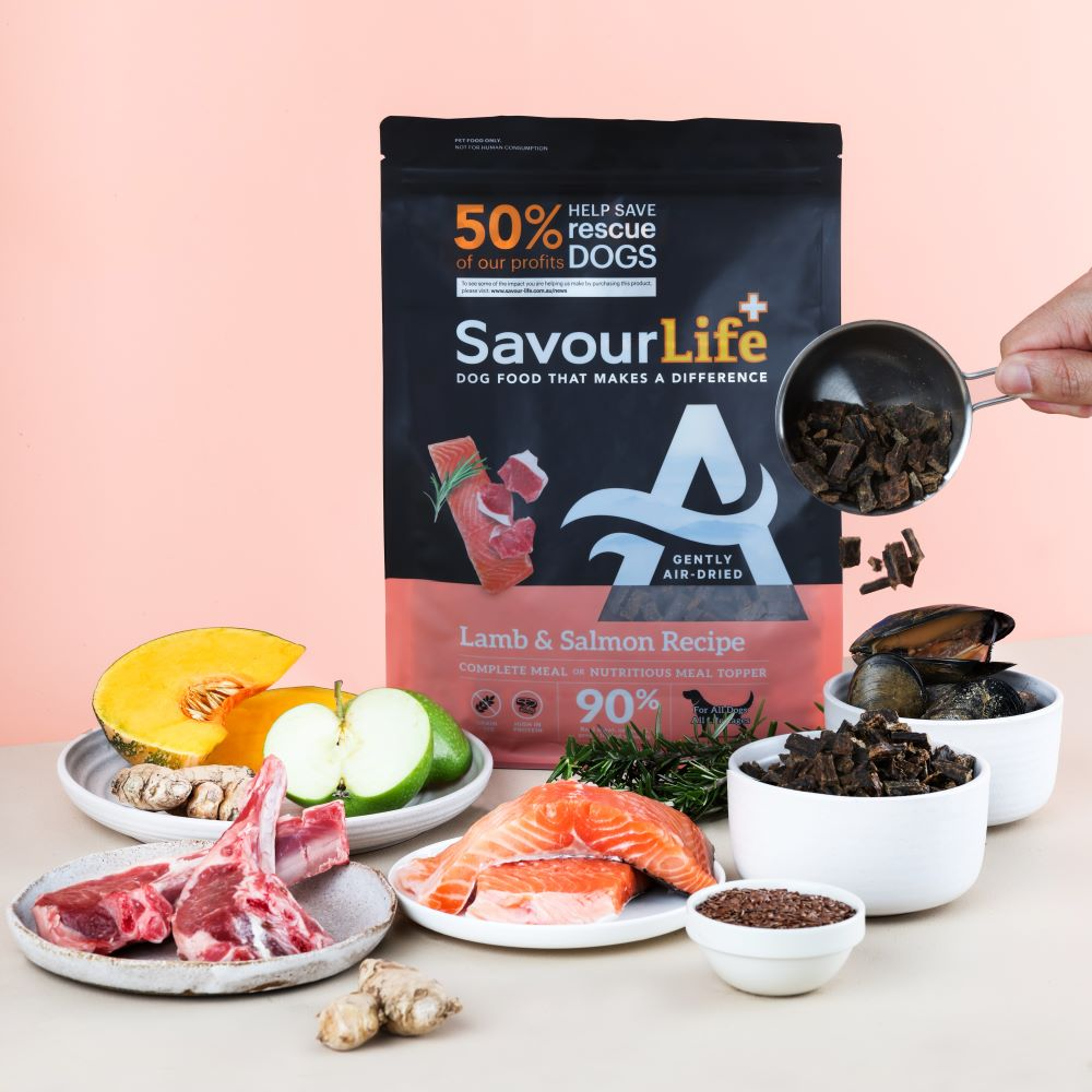 Air Dried Lamb & Salmon Adult Dry Dog Food