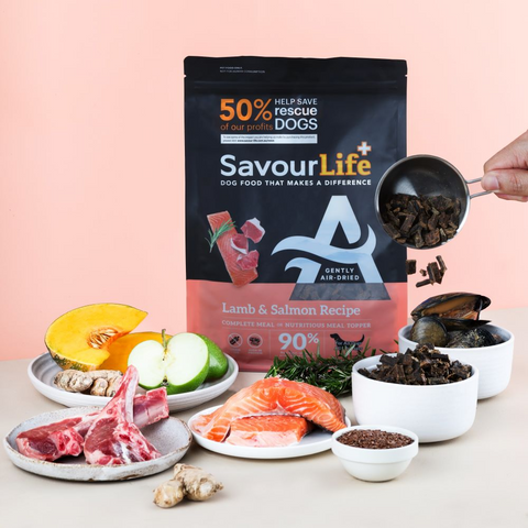 Air Dried Lamb & Salmon Adult Dry Dog Food