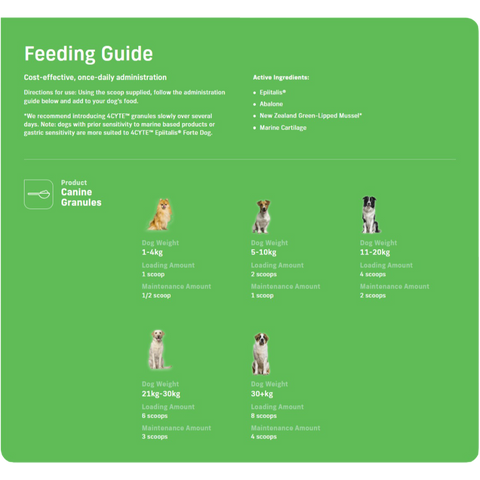 Canine Joint Support Supplement