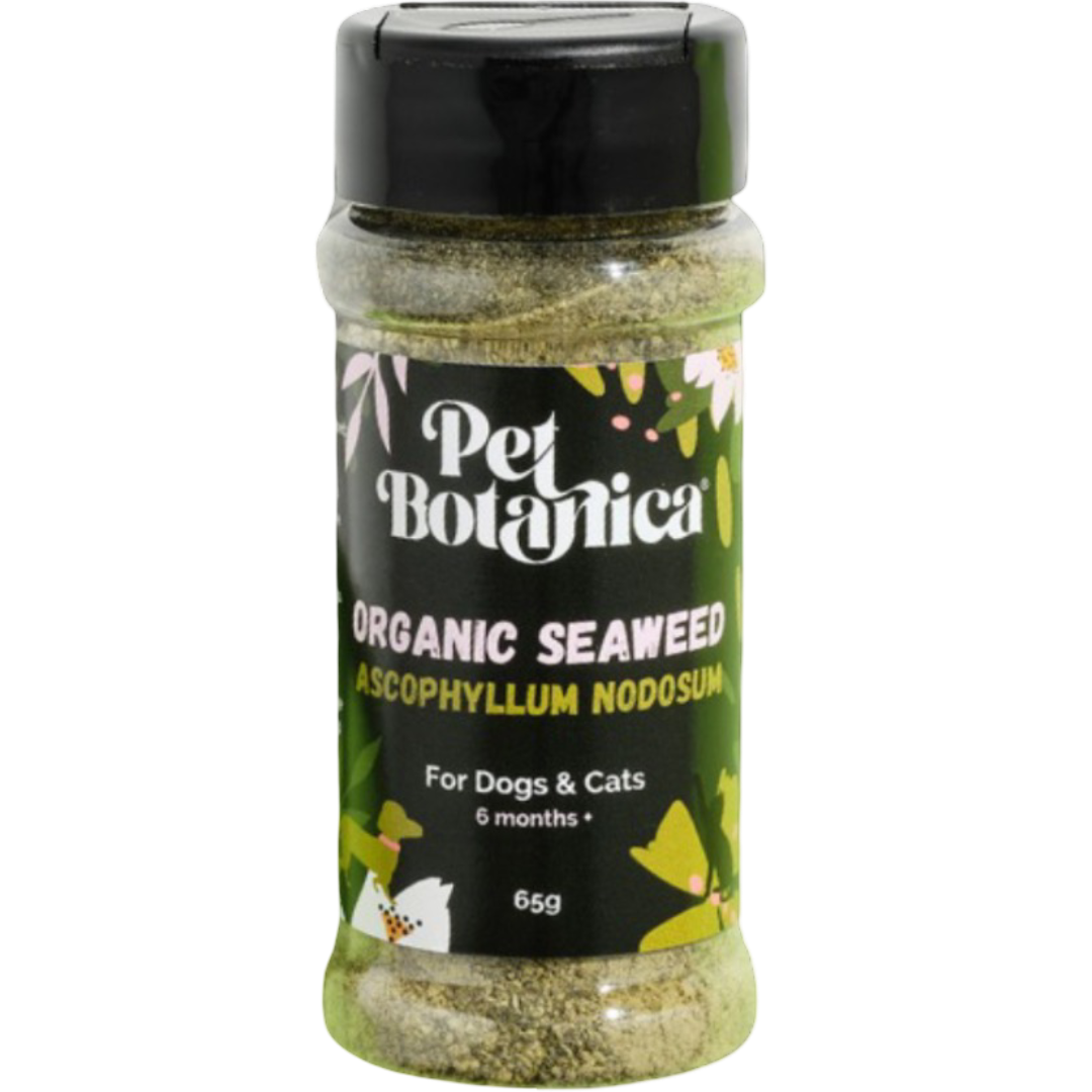 Organic Seaweed Dental Meal Booster For Dogs & Cats