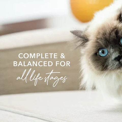 Feline Natural Canned Chicken Feast