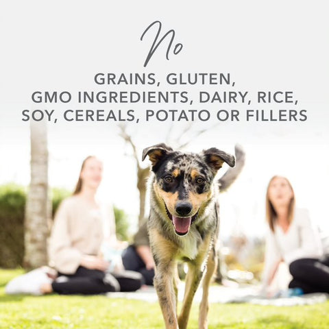 K9 Natural Canned Lamb Feast Wet Dog Food