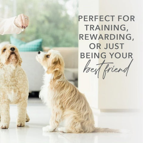 K9 Natural Treats Green Mussel Healthy Snacks