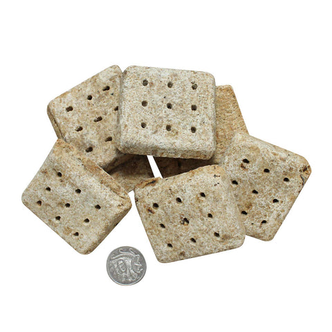 Stockman & Paddock Aussie Dog Biscuits with Beef - 10kg Box