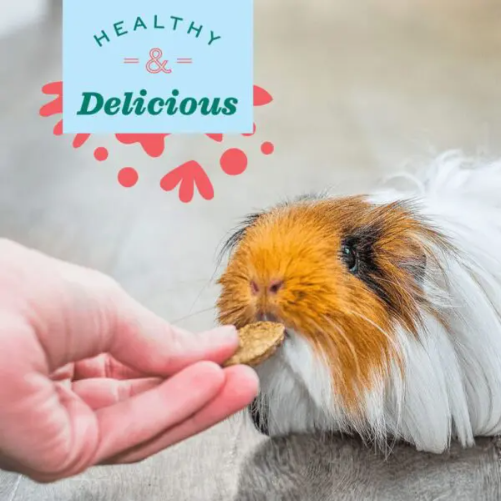 Natural Science Digestive Support Small Animal Supplement Treats