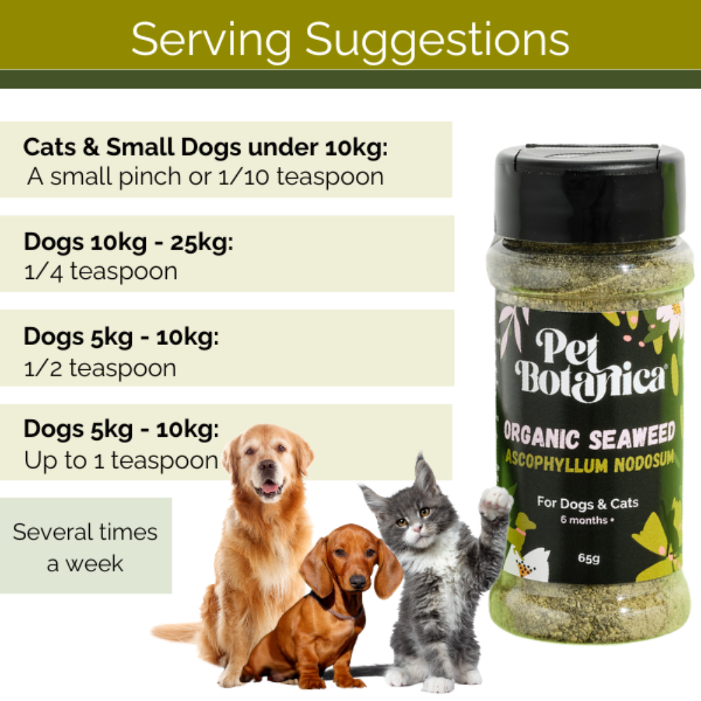 Organic Seaweed Dental Meal Booster For Dogs & Cats