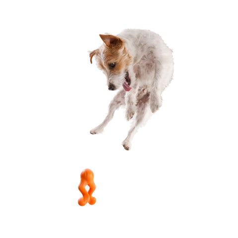 West Paw Tizzi Treat & Tug Dog Toys