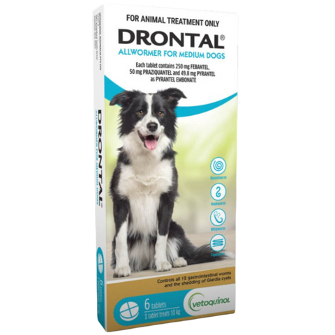 Dog Allwormer Tablet 10kg