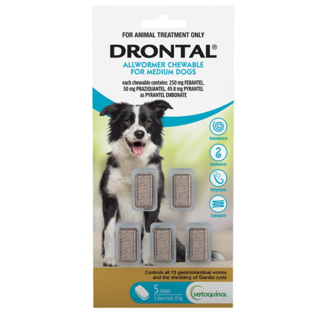 Allwormer Chewables for Medium Dogs 10kg