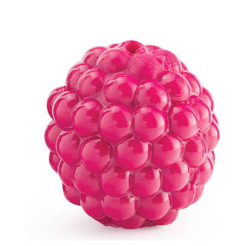 Planet Dog Orbee-Tuff  Raspberry Treat-Dispensing Dog Toy