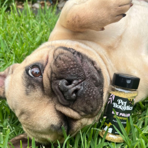 Bee Pollen Superfood Meal Booster For Dogs & Cats