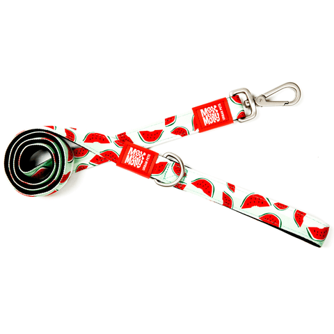 Max & Molly Dog Leash - Watermelon 01