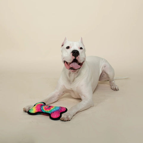 Fringe Studio Plush Squeaker Dog Toy - Just Dye It