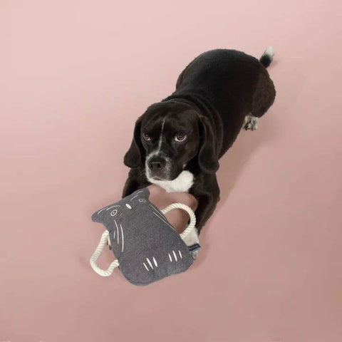 Fringe Studio Owl Canvas Tug Dog Toy
