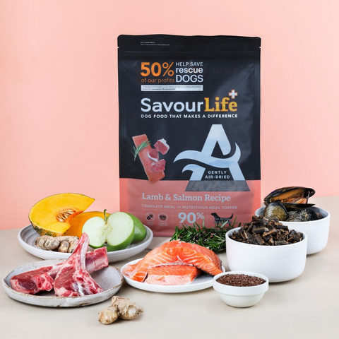Air Dried Lamb & Salmon Adult Dry Dog Food