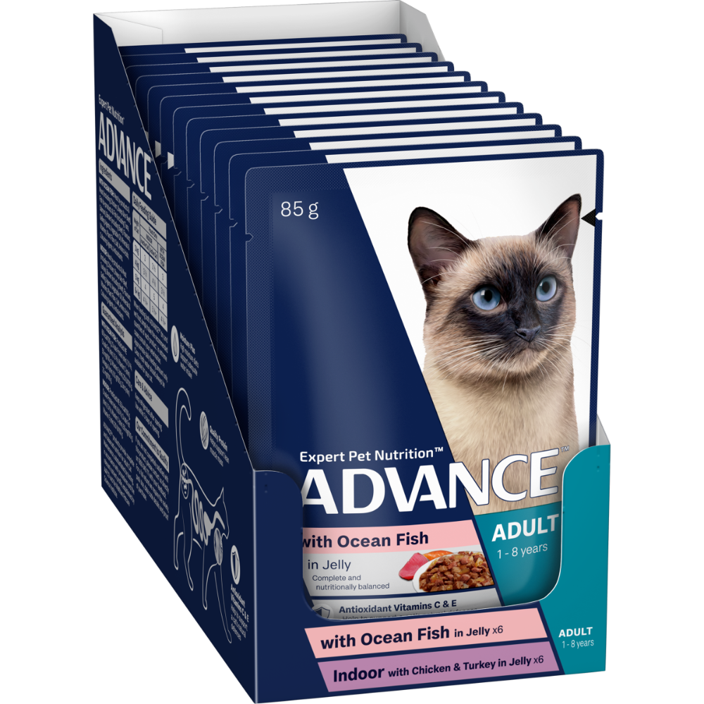 Adult Ocean Fish & Indoor Chicken And Turkey In Jelly Wet Cat Food Variety Pack