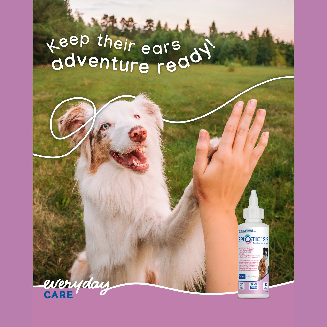 Ear Cleanser For Dogs