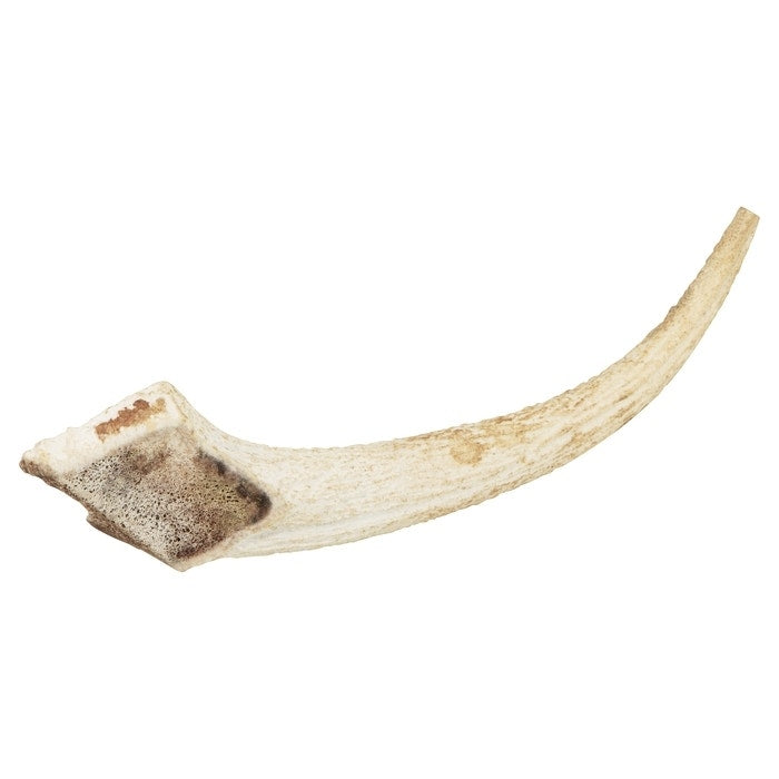 Watch & Grow Dog Treat Whole Antler Small