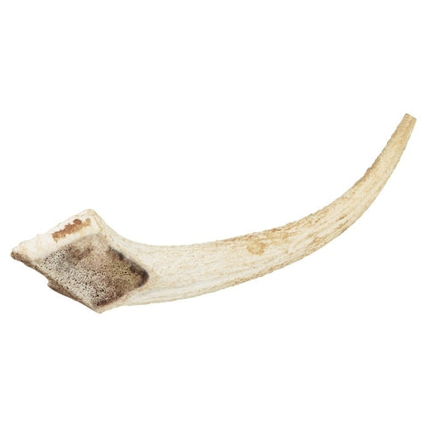 Watch & Grow Dog Treat Whole Antler Small