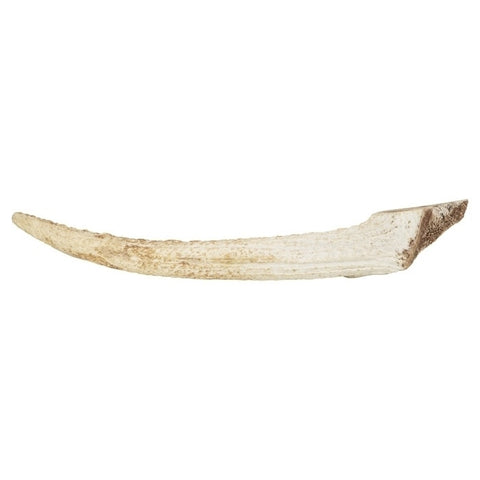Watch & Grow Dog Treat Whole Antler Small