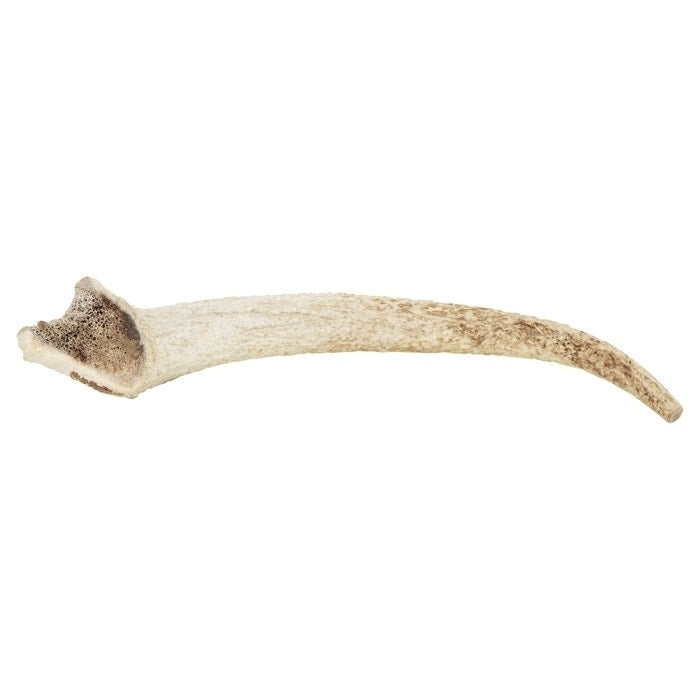 Watch & Grow Dog Treat Whole Antler Small
