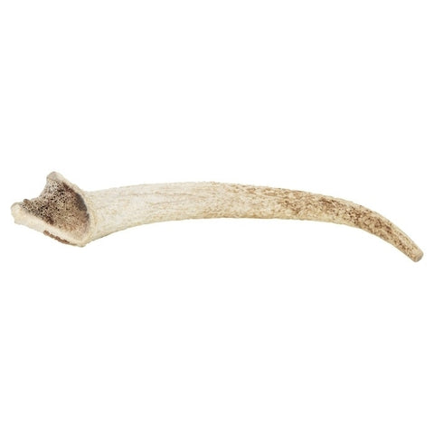Watch & Grow Dog Treat Whole Antler Small
