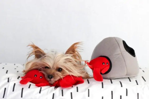 Zippy Paws Dog Toys Plush Burrow - Rock with 3 Crabs