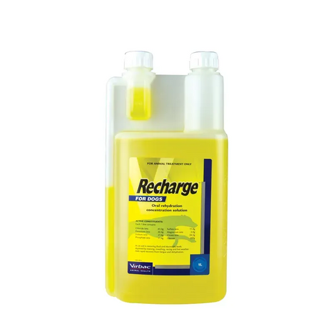 Virbac Recharge The Sports Drink for Dogs