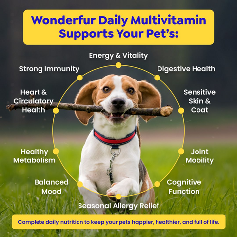 Daily Multi Vitamin Powder For Dogs And Cats