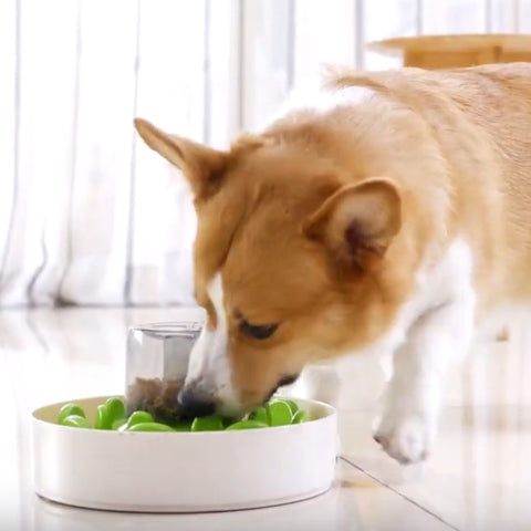 Pet DreamHouse SPIN UFO Maze Interactive Dog Bowl and Slow Feeder