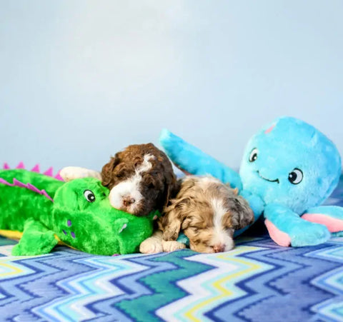 Zippy Paws Dog Toys Plush Grunterz - Alvin the Alligator