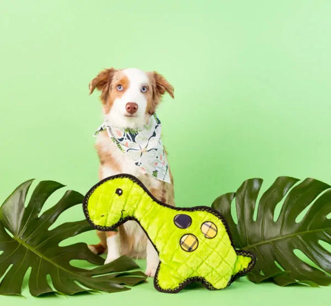 Zippy Paws Dog Toys Plush Grunterz Z-Stitch - Donny Dinosaur