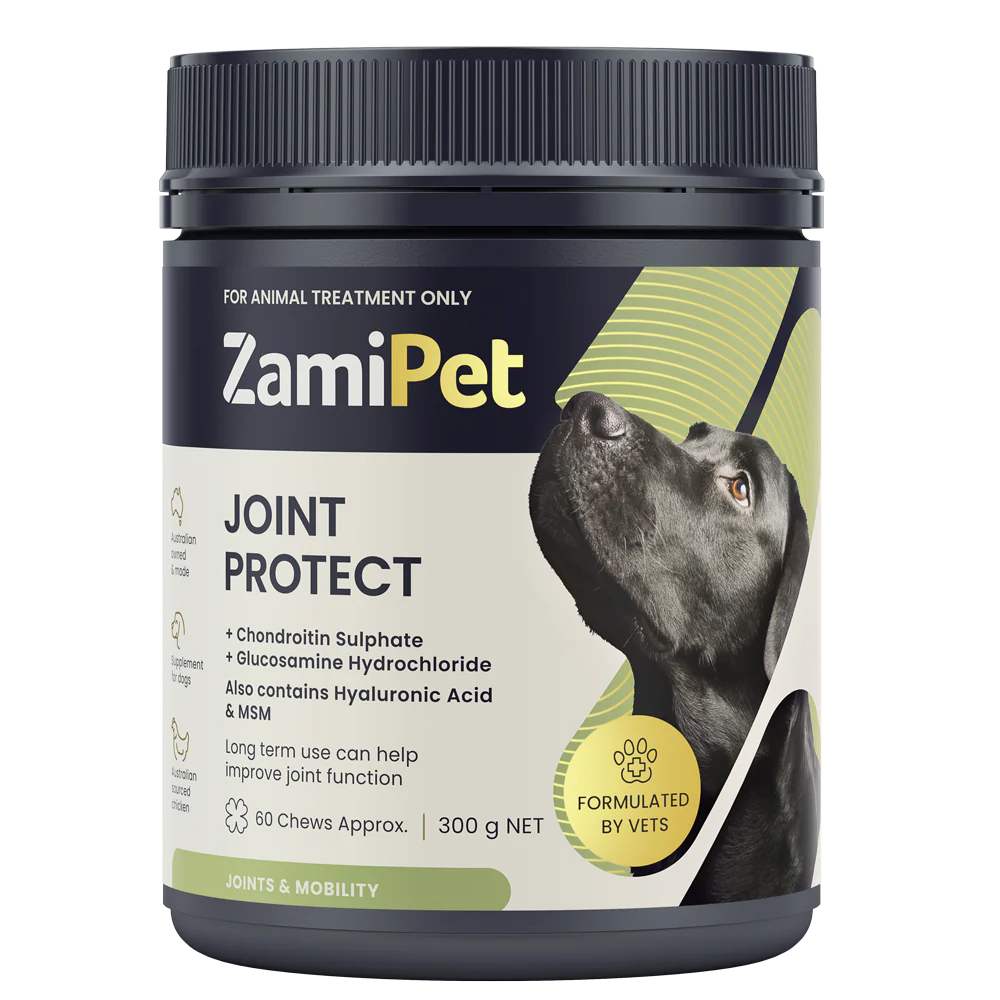 Joint Protect Chews for Dogs