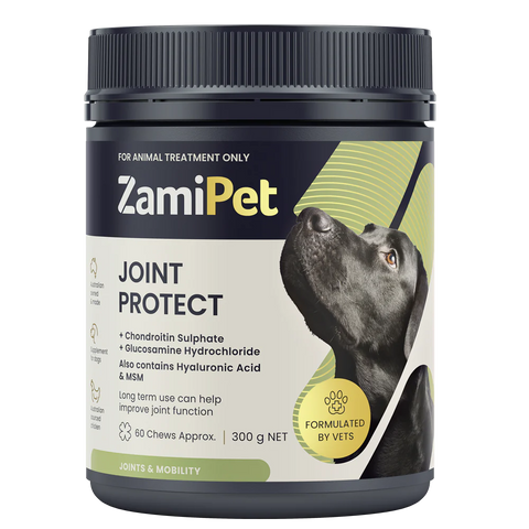 Joint Protect Chews for Dogs