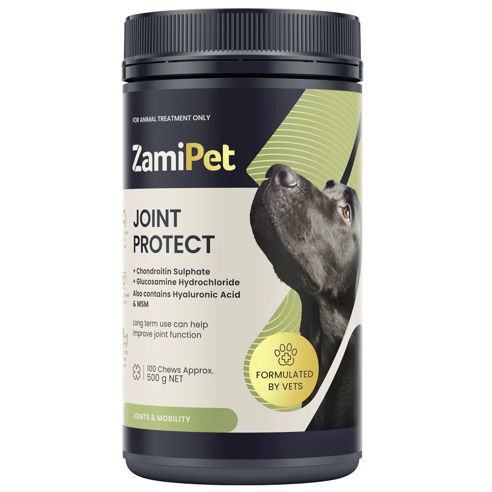 Joint Protect Chews for Dogs
