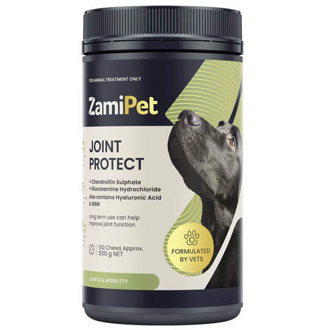 Joint Protect Chews for Dogs